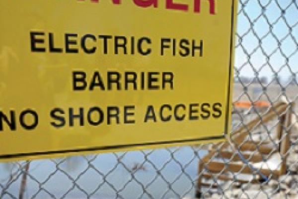 Electric fish barrier sign