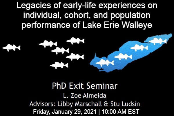 phd exit seminar