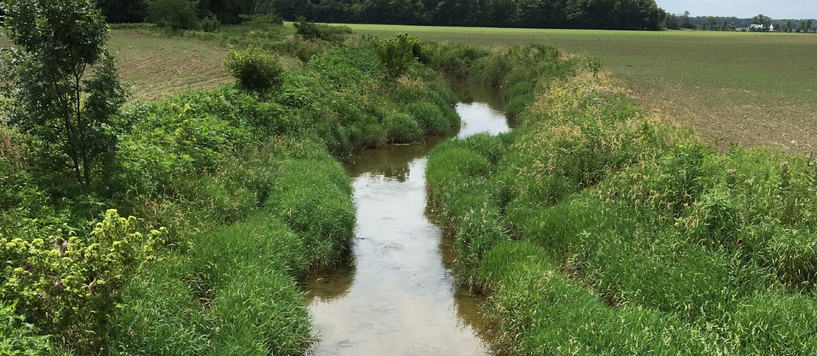 Agricultural stream