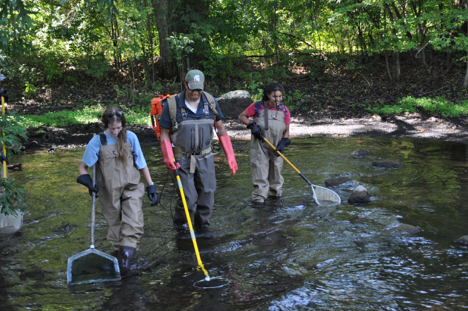 Brian Roth (center) electrofishing in a forest stream with two students