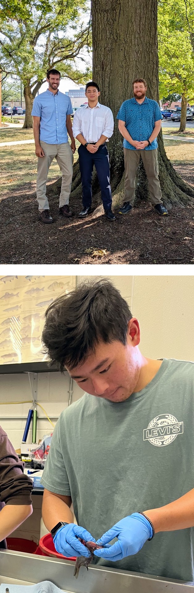 Top: Group photo of Jeremy Pritt, Hwan Chen & Casey Pennock; Bottom: Hwan dissecting a fish