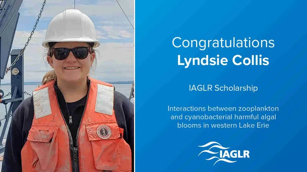 Lyndsie Collis headshot next to award text