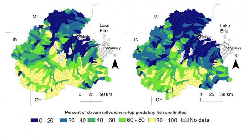 Watershed map of WLEB with model estimates of predatory fish under different conditions