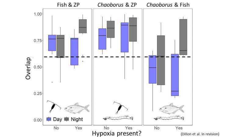 Graphical representation of overlap between organisms in food web