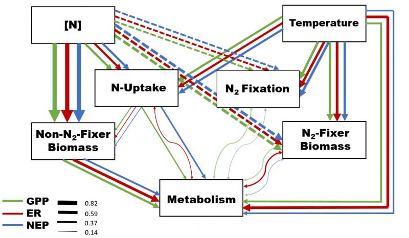 Diagram of ecosystem