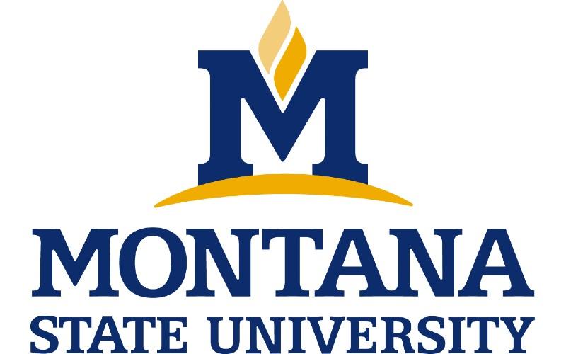 Montana State University Logo