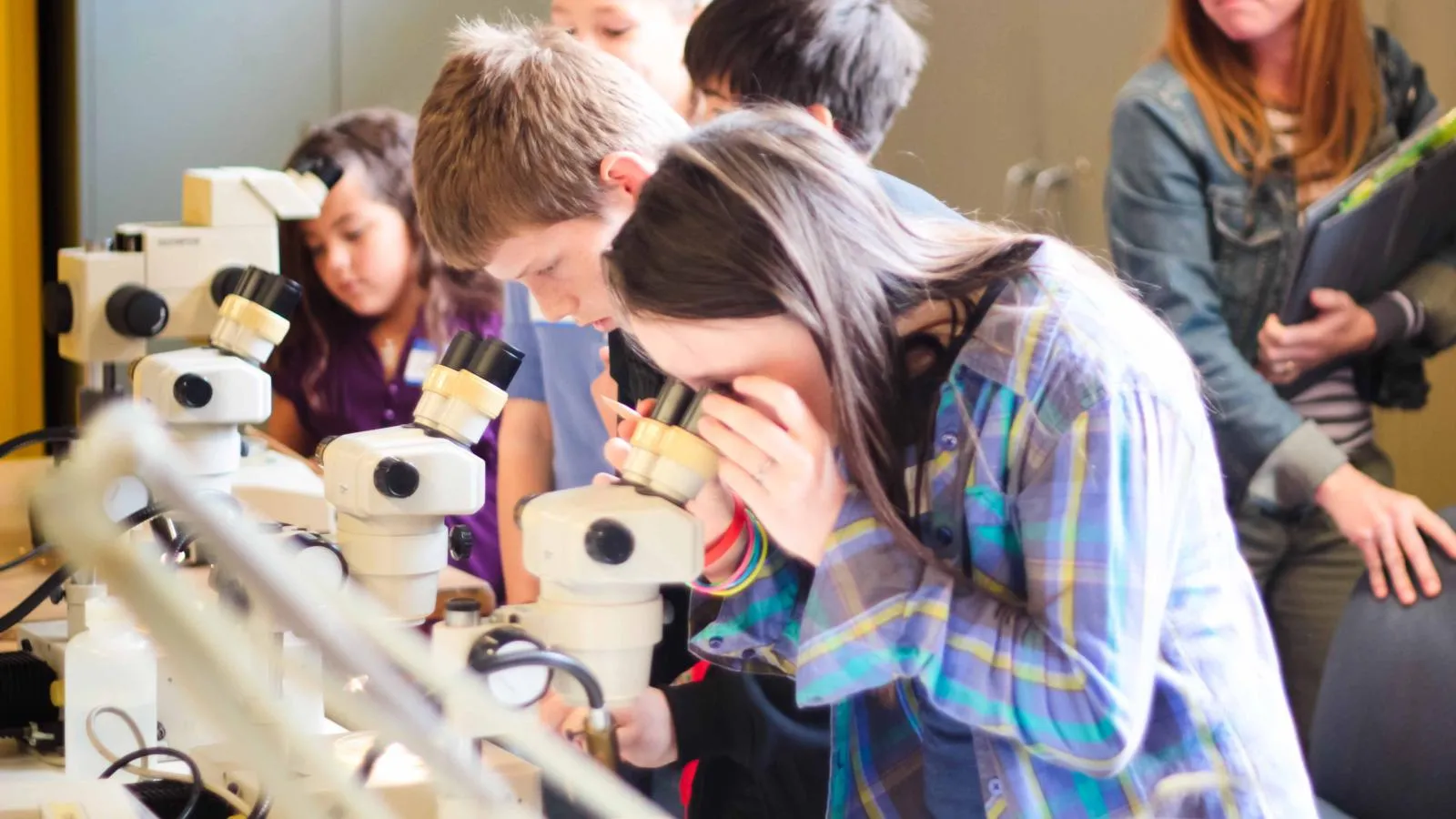students looking through microscopes