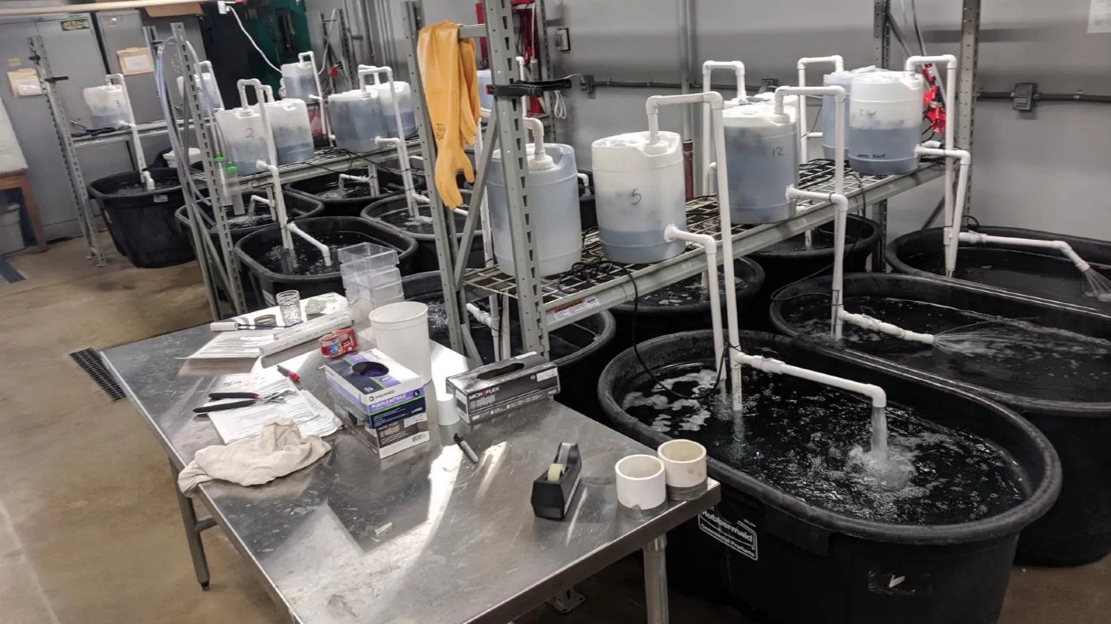 Experimental set up in AEL wetlab