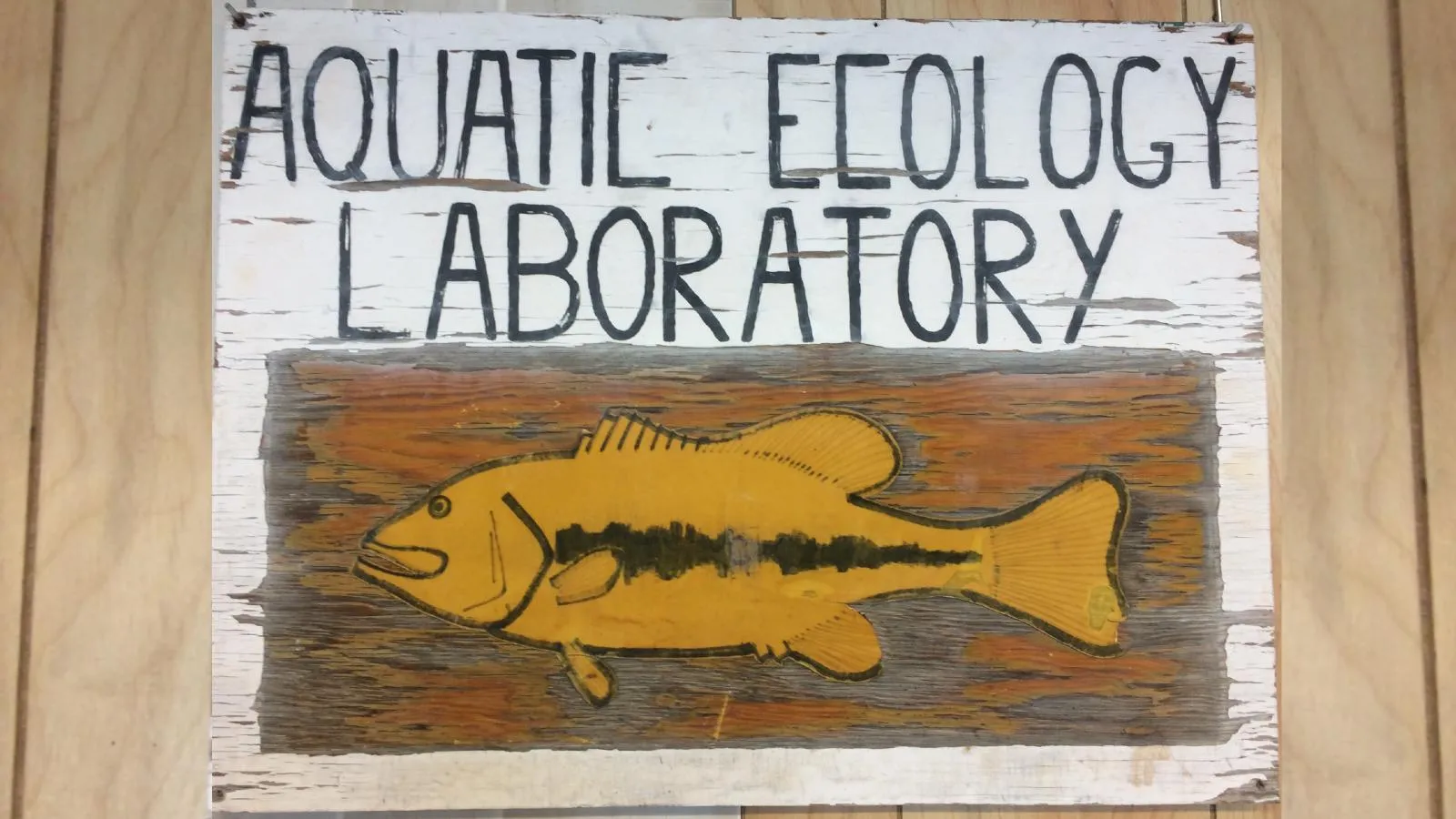AEL Wooden Sign in dry lab