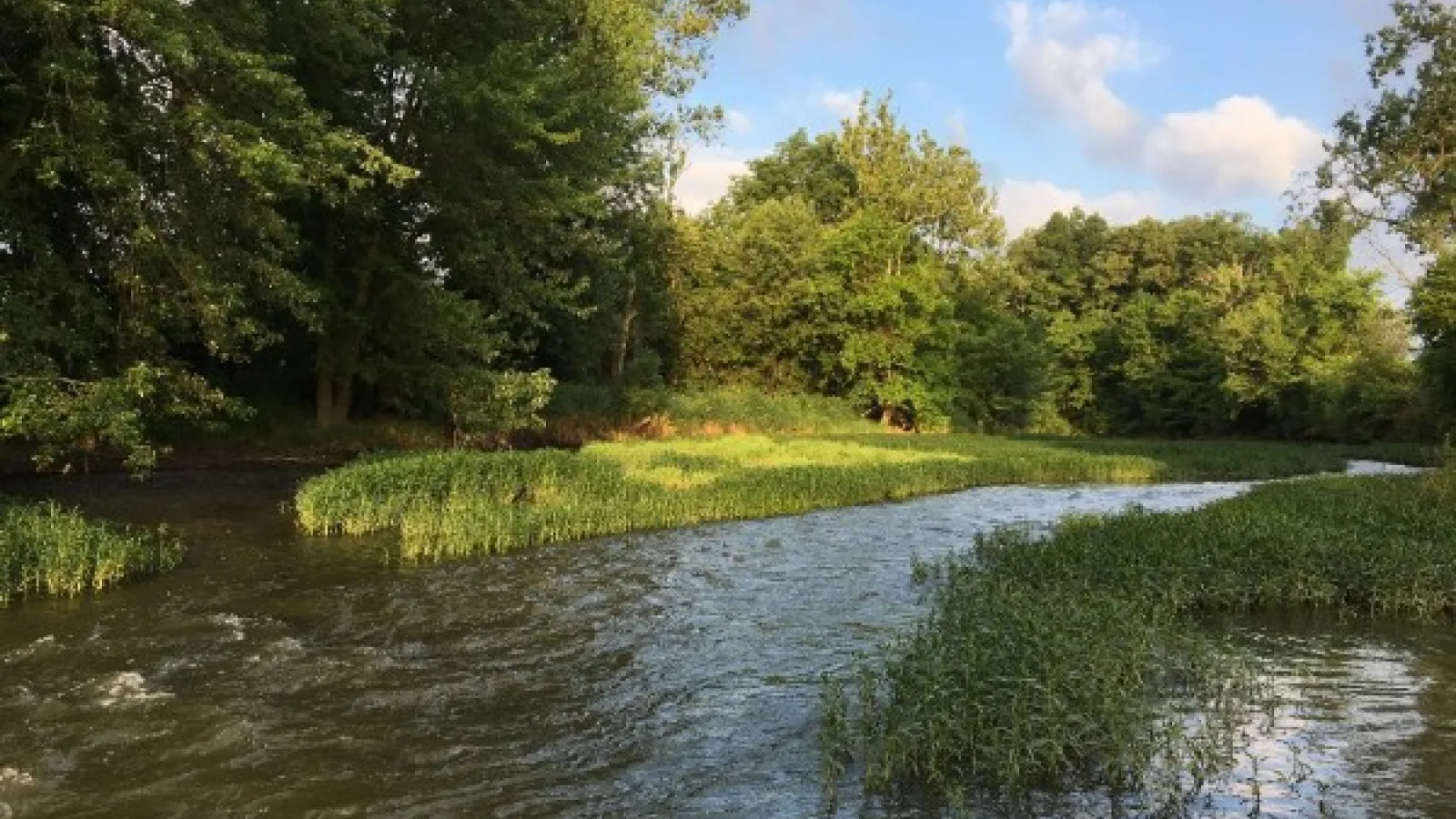 Stream