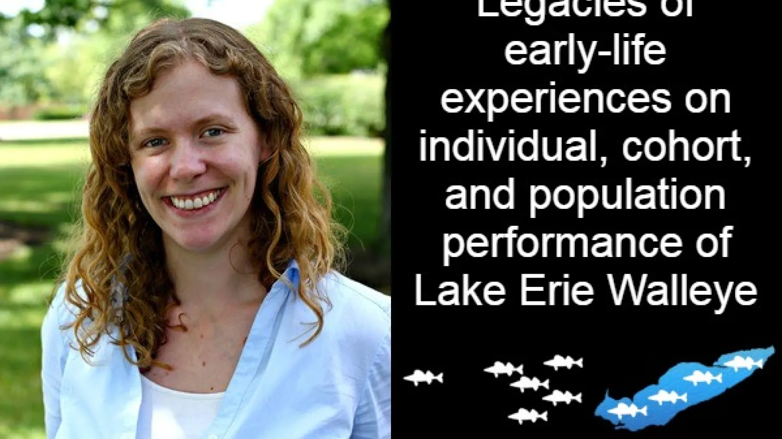Zoe Almeida, Dissertation title