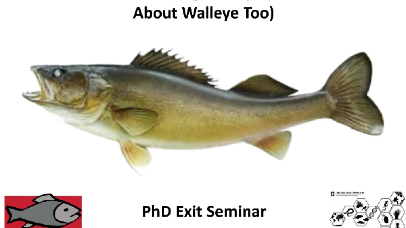 Walleye 