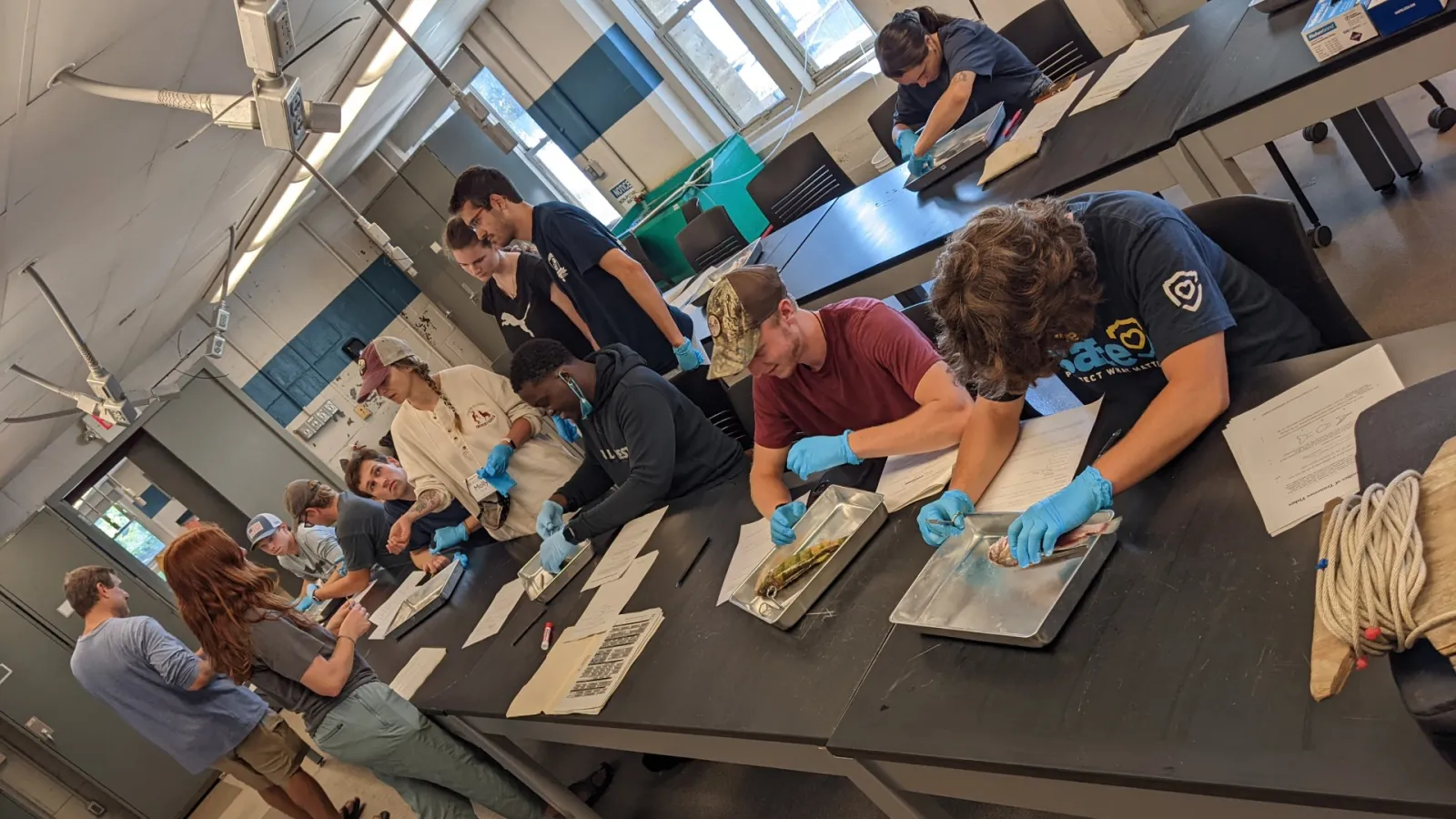 Fish dissection lab at Stone Lab classroom lab space