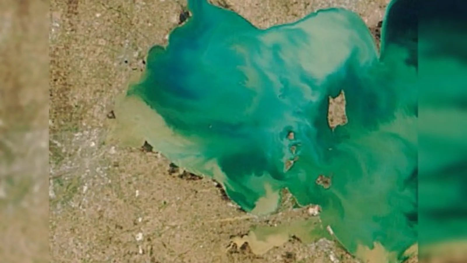 Aerial photo of western basin of Lake Erie