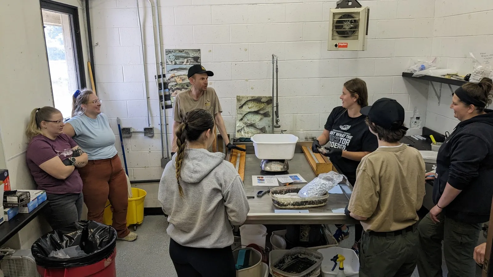 Everyone listening to Steve talk about otolith extraction