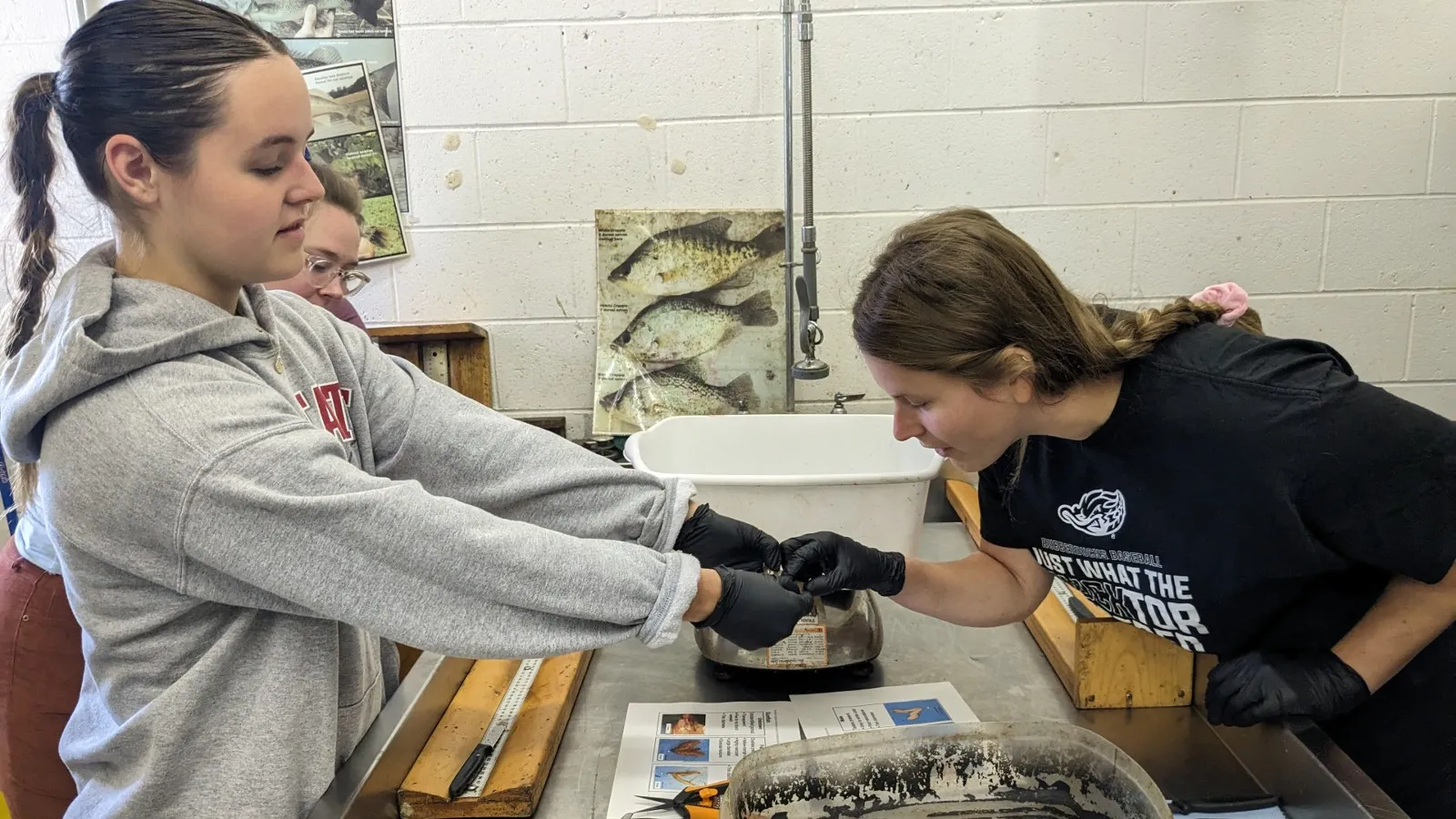 Olivia showing Marley her newly dissected fish