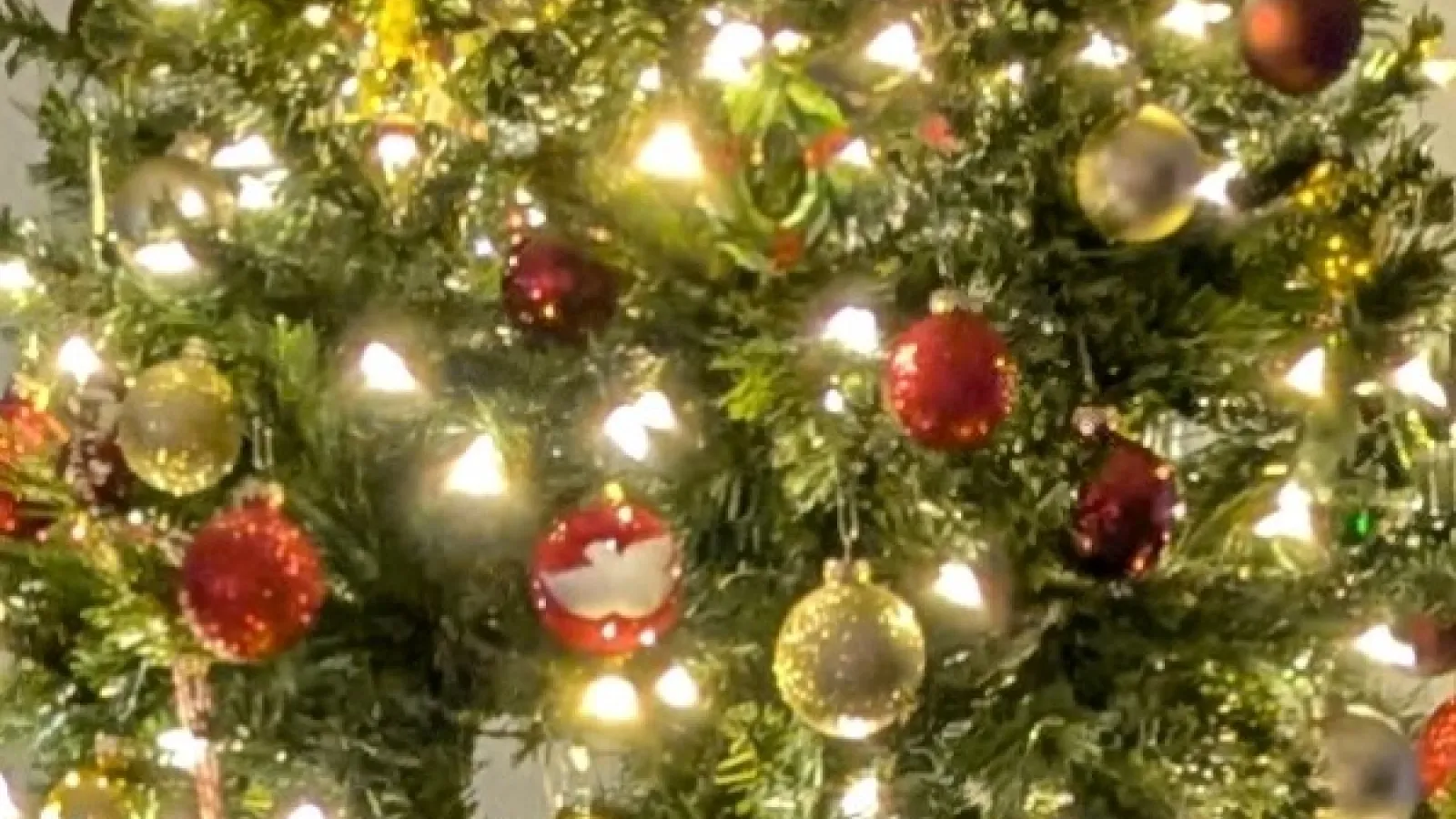close up of decorated Christmas tree boughs