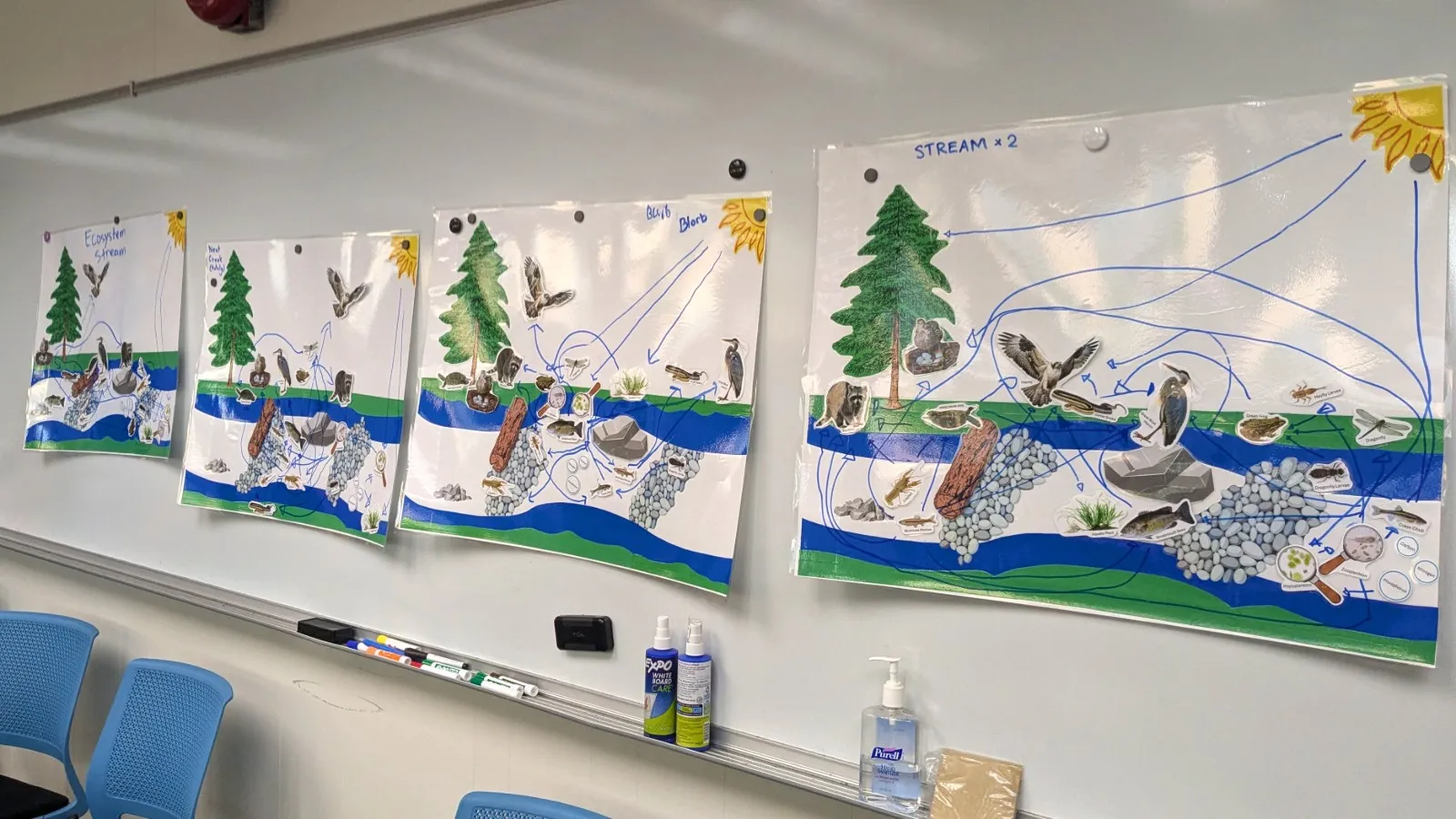Students' completed food webs
