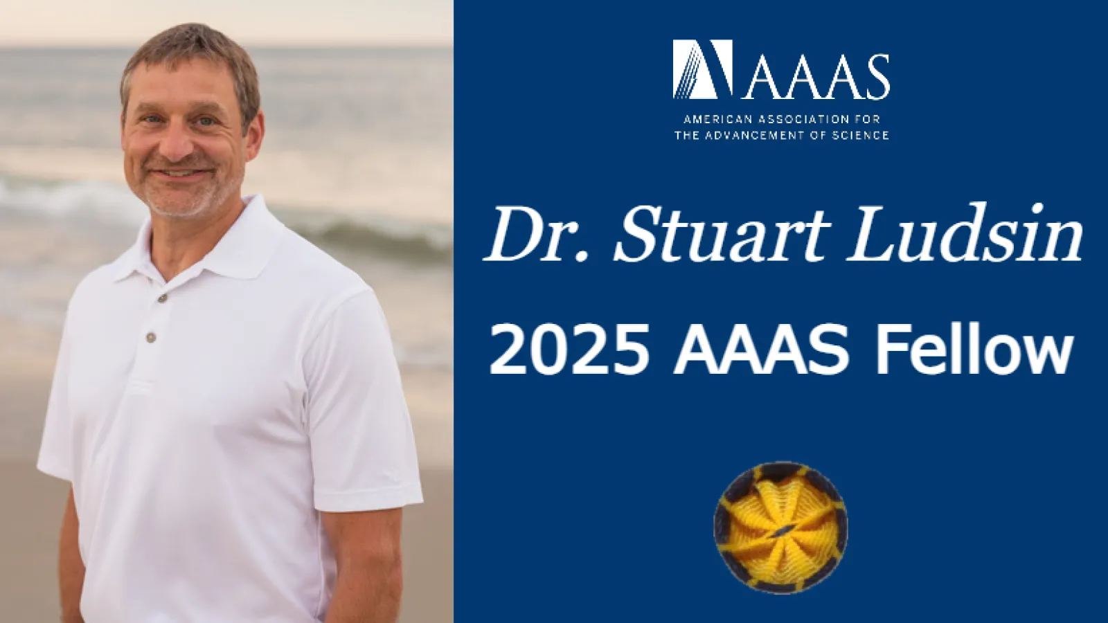 Dr Ludsin, AAAS log and rosette, Text: "Dr. Stuart Ludsin 2025 AAAS Fellow"