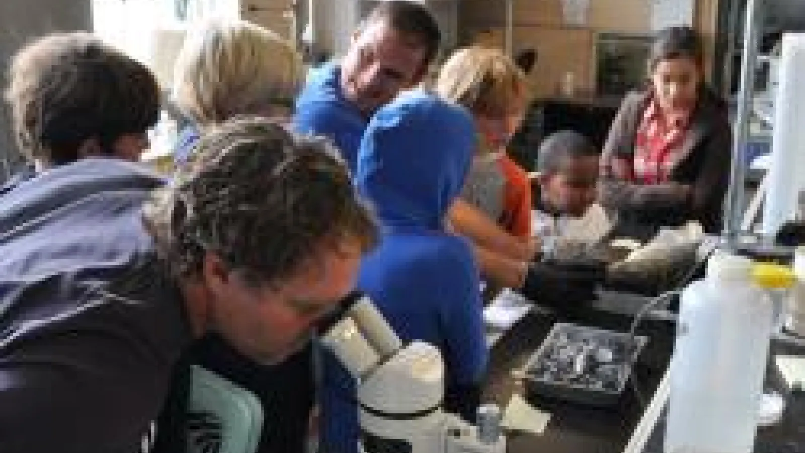 students look through microscopes in the lab
