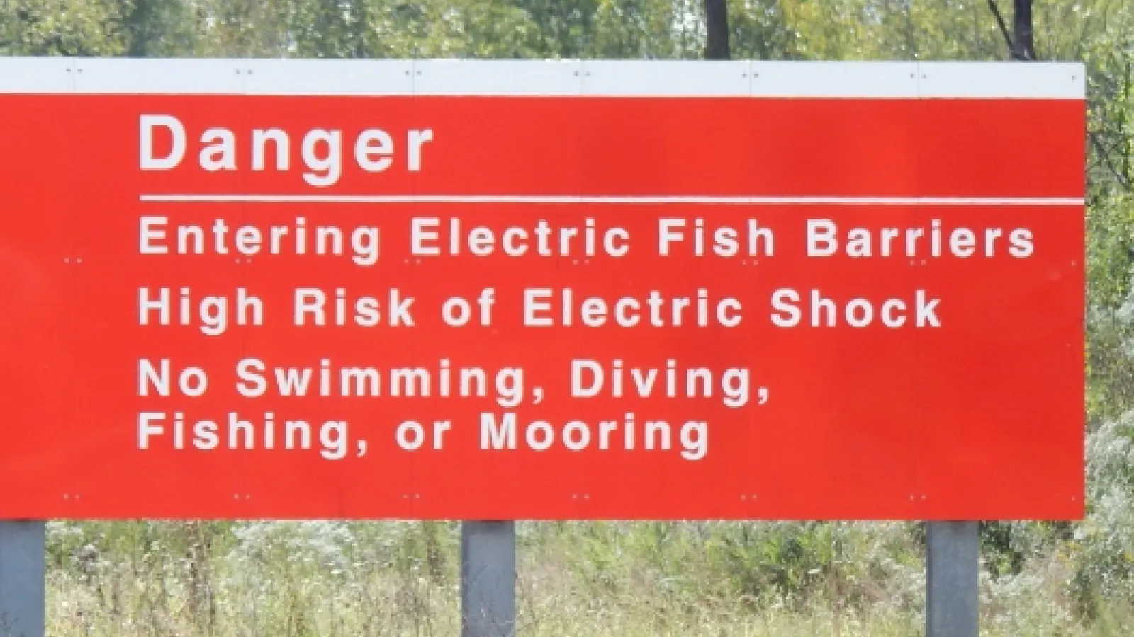 Electric barrier warning