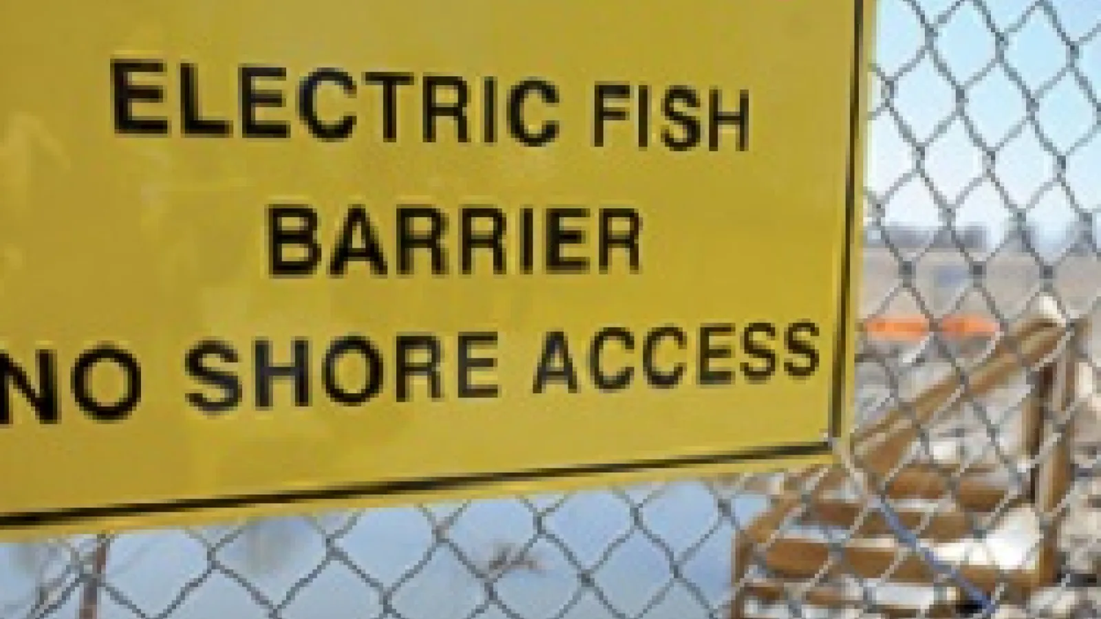 Electric fish barrier sign