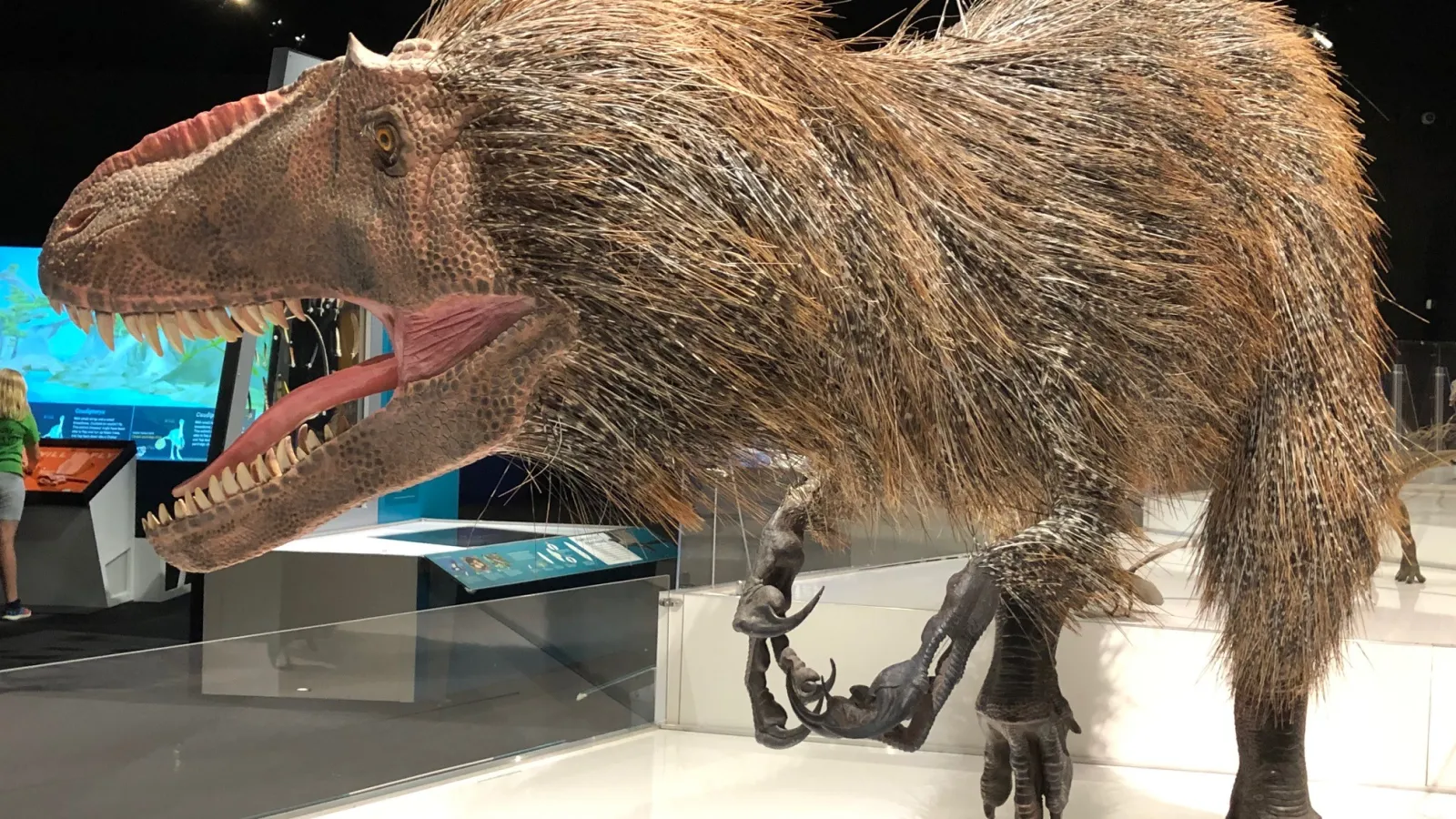 dinosaur with quills at the COSI science center.