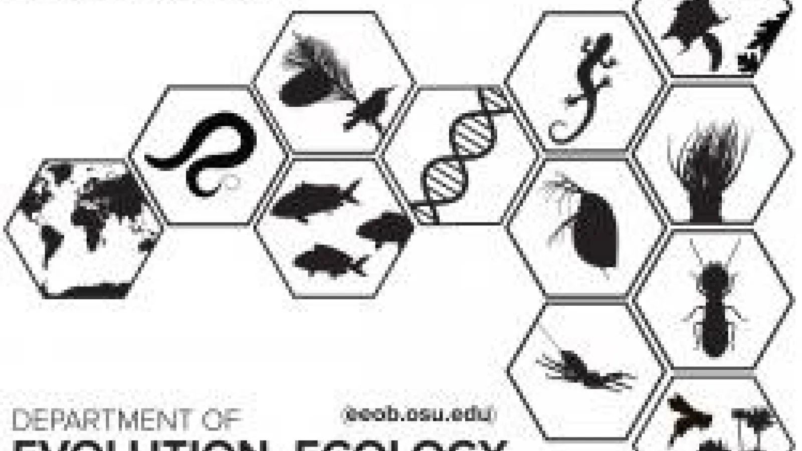 Logo for the Department of Evolution, Ecology, and Organismal Biology