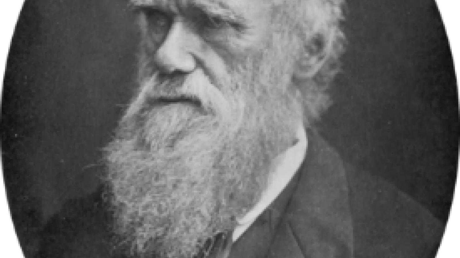 Charles Darwin portrait