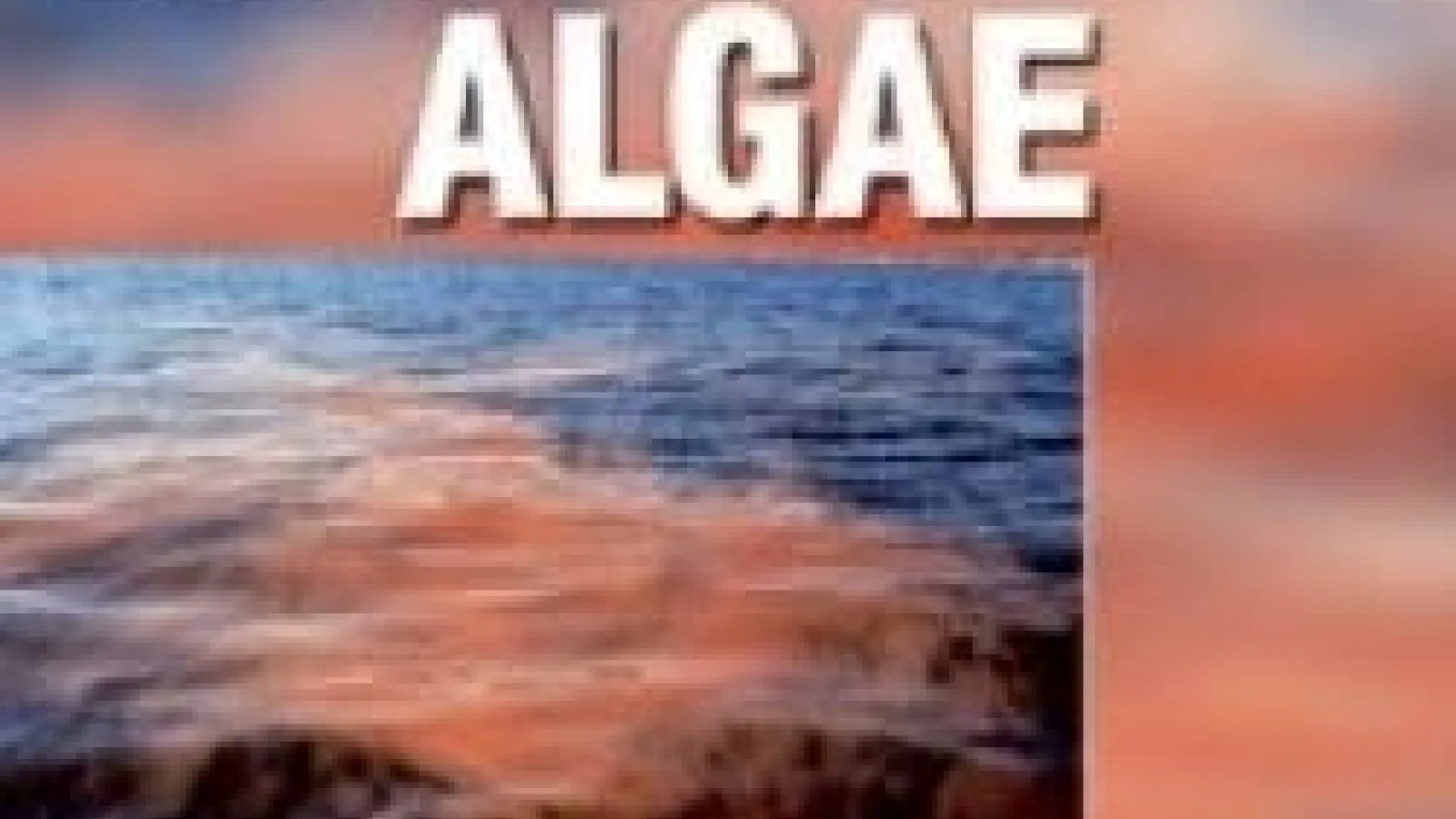 Cover of journal Harmful Algae