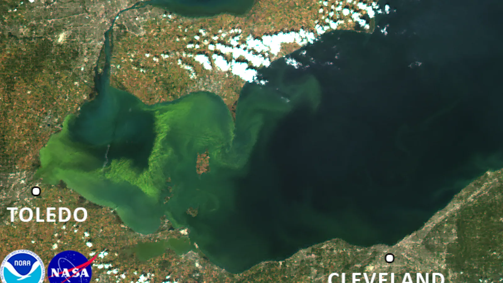 satellite picture of the western basin of Lake Erie