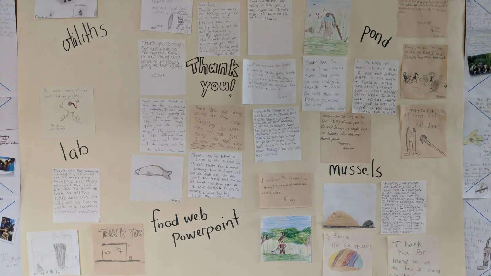 Thank you notes from Mrs. Marschall's 6th grade class
