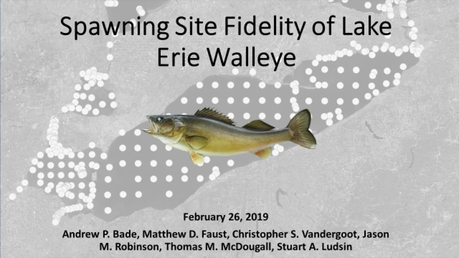 Spawning Site Fidelity of Lake Erie Walleye by Andrew Bade et al.