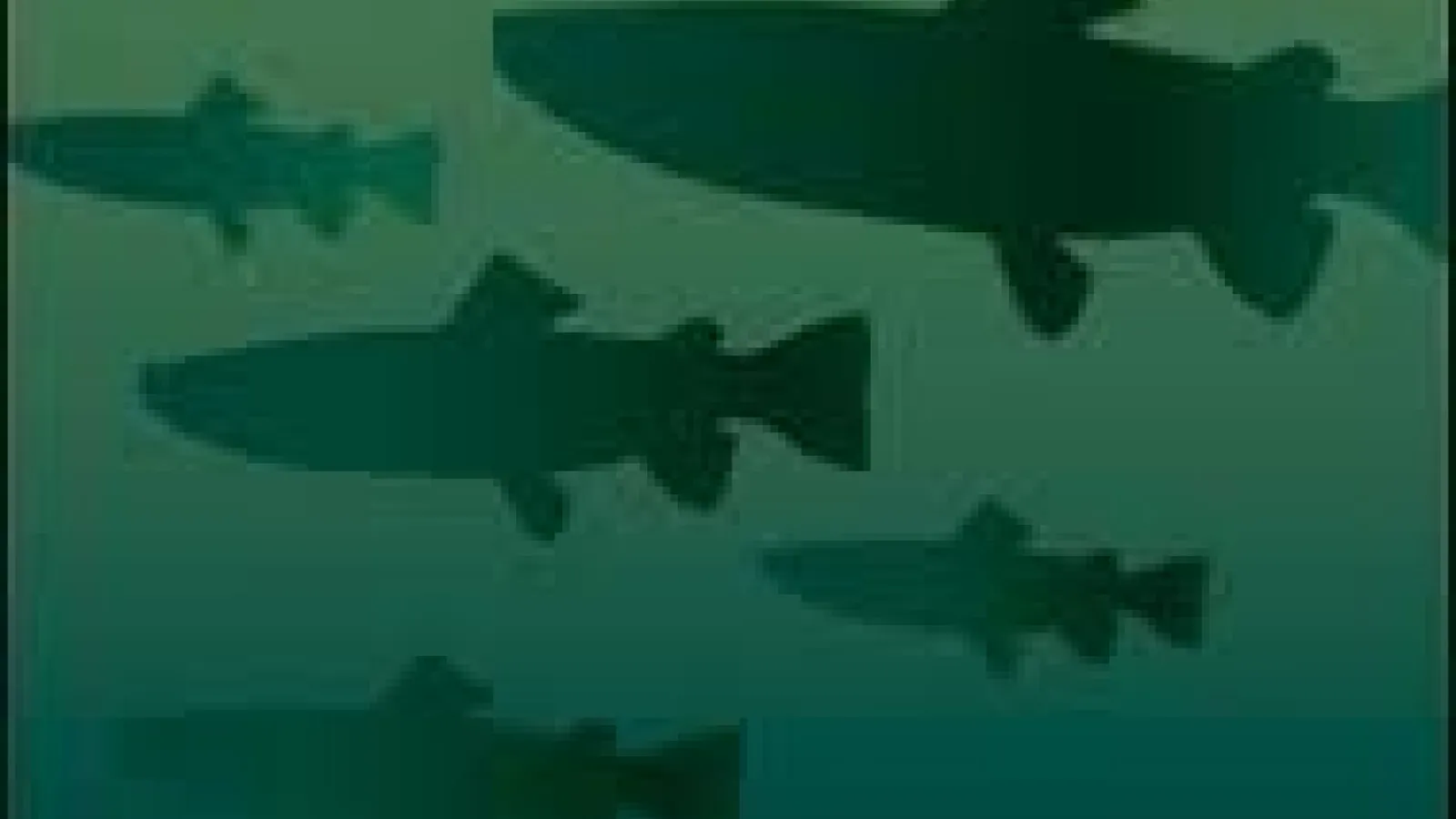 Cover of Transactions of the American Fisheries Society academic journal