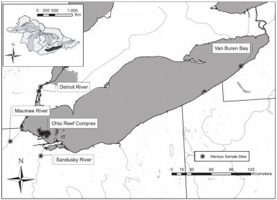 Lake Erie map with sampling sites noted