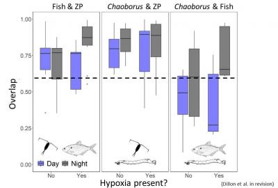 Graphical representation of overlap between organisms