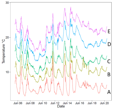 Graphical representation of experimental temperature regimes