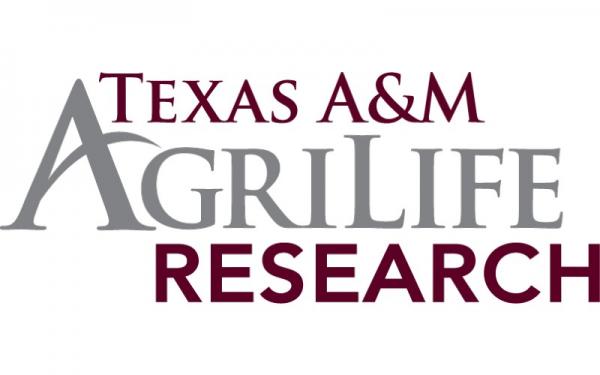 Texas A&M AgriLife Research Logo