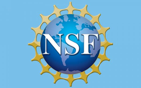 NSF Logo