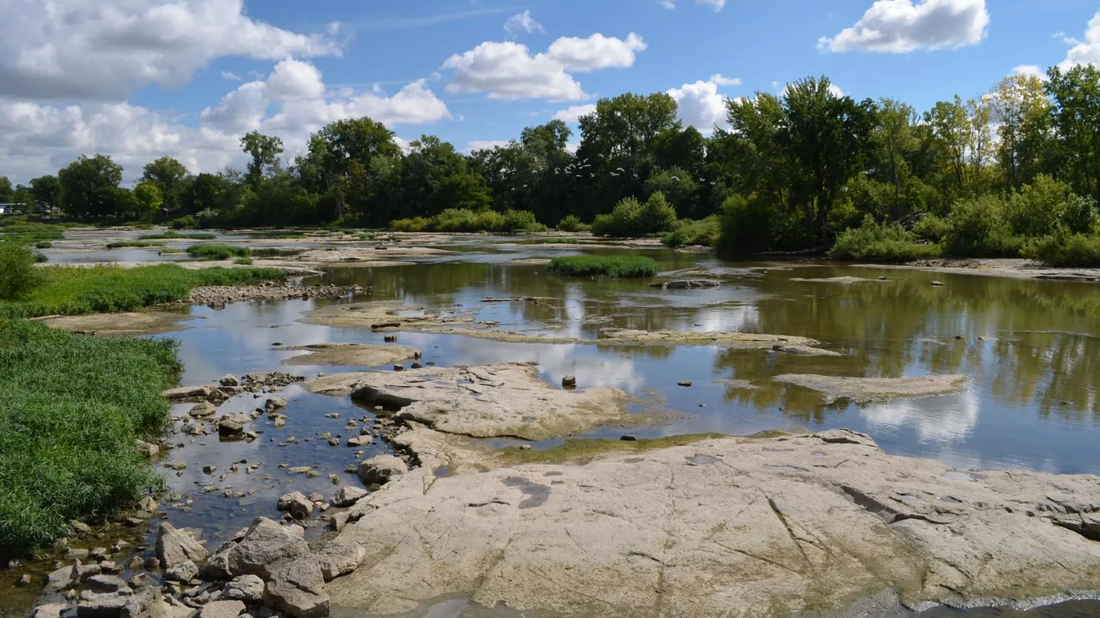 Maumee River at Providence Dam 2013