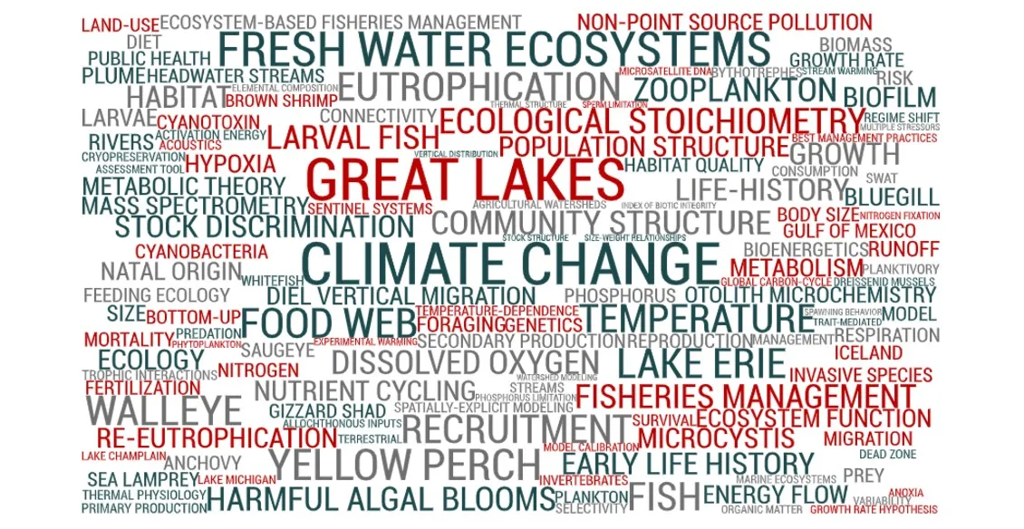 Word cloud of keywords from faculty research