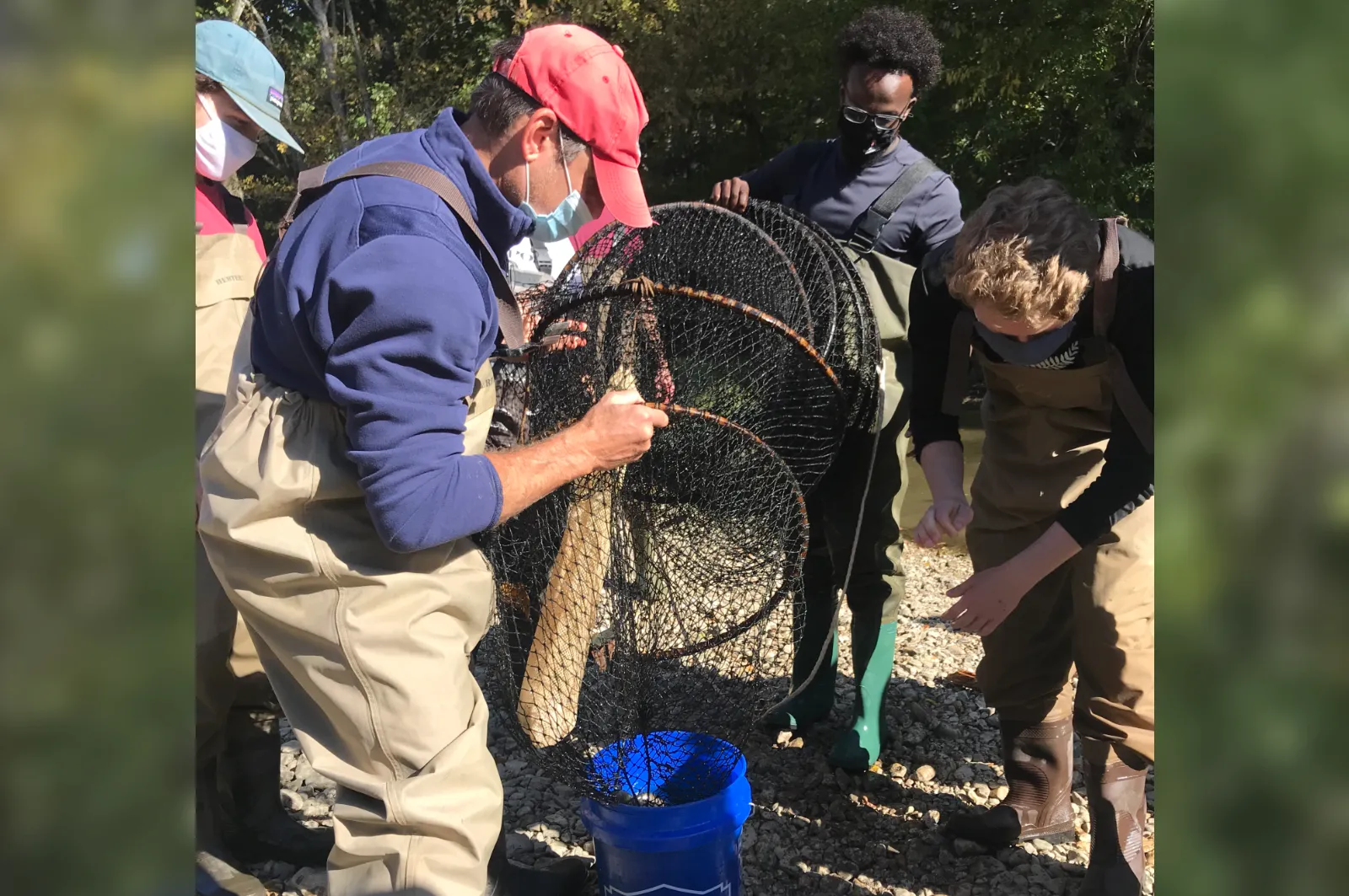 Stu Ludsin emptying a hoop net with students