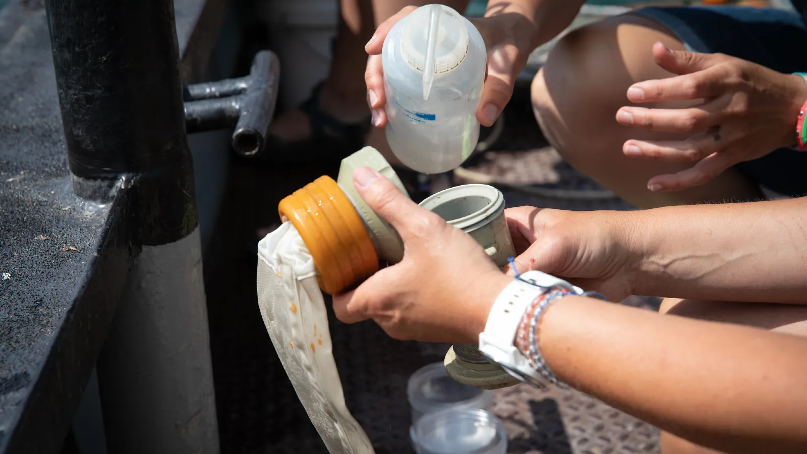 Zooplankton net being rinsed on the boat
