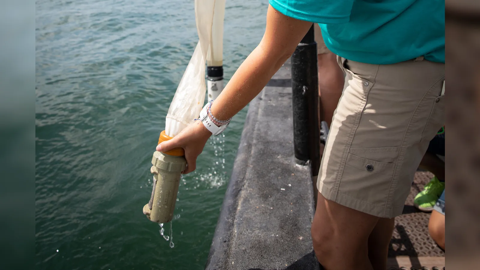 Zooplankton net coming out of the water