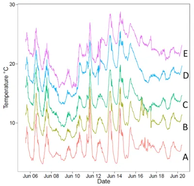 Graphical representation of experimental temperature regimes
