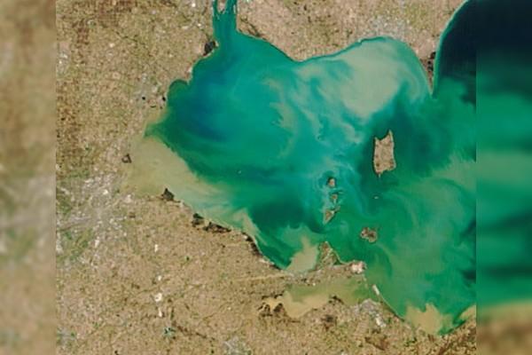 Aerial photo of western basin of Lake Erie