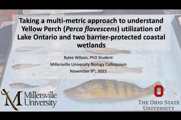 Cover slide for Kylee Wilson's talk