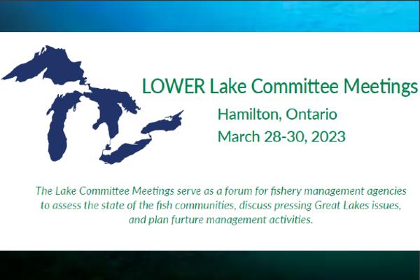 Lower Lake Committee Meetings 