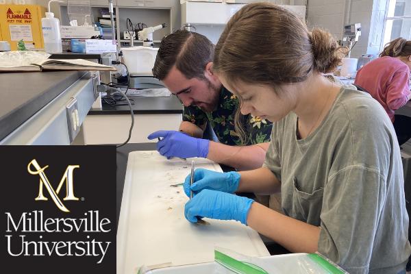 Millersville University logo, two students dissecting fish