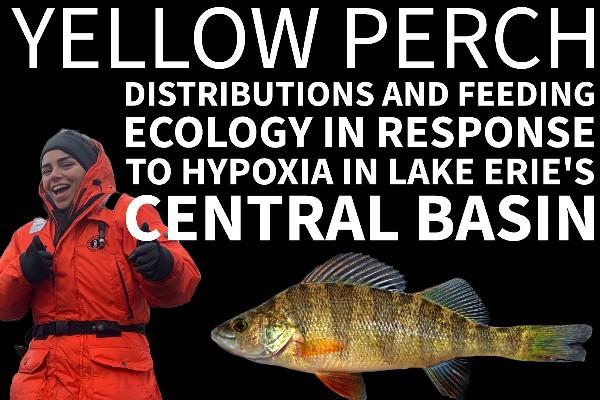 Alex Cabanelas Bermudez, Yellow Perch, title "Yellow Perch Distributions and Feeding Ecology in Response to Hypoxia in Lake Erie's Central Basin"